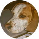 allison D. profile picture